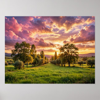 Friedliche Schafe beim Grasen bei Sonnenuntergang  Poster