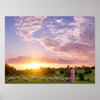 Friedliche Schafe beim Weiden bei Sonnenuntergang  Poster
