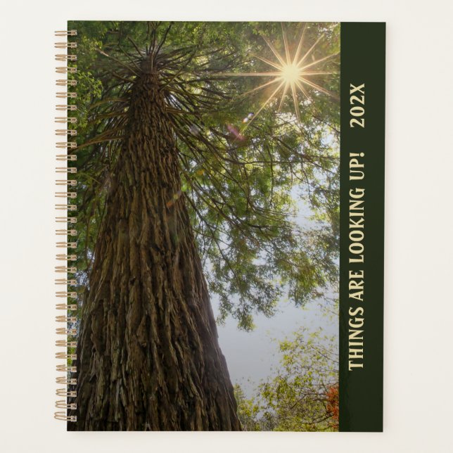 Friedliche Sequoia-Fotografie mit Sonnenburst-Plan Planer (Vorderseite)