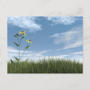 Friedliche Steine - 3D-Darstellung Postkarte