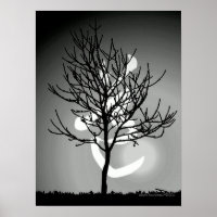 Friedliche Strahlung/Tao 道 Harmony (TBA)