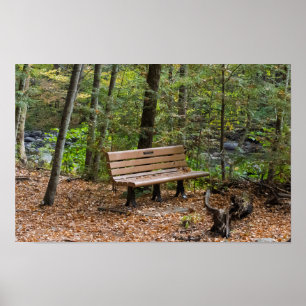 Friedliche Waldbank im Herbst Poster