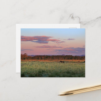 Friedliche Waldwiese Natur Postkarte