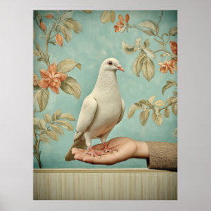Friedliche Weiße Taube Poster