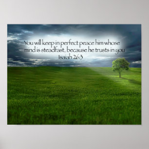 Friedlicher Baumfeld Blaue Himmel Bibelvers Poster