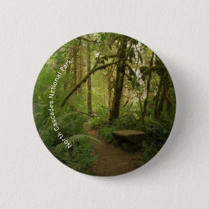 Friedlicher grüner Waldweg in Washington Button