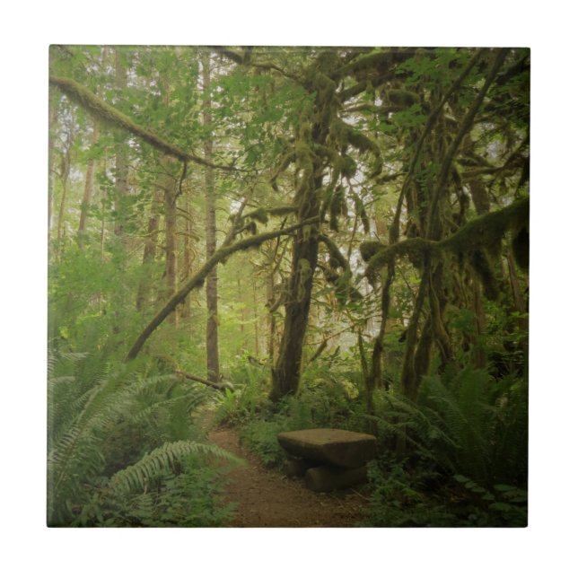 Friedlicher grüner Waldweg in Washington Fliese (Vorderseite)