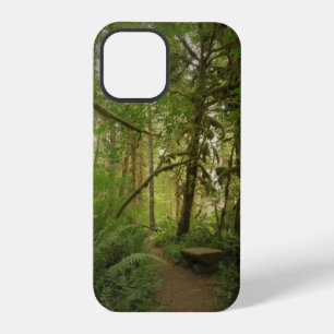 Friedlicher grüner Waldweg Washington iPhone 12 Pro Hülle