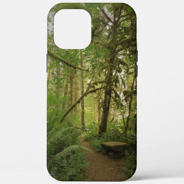 Friedlicher Grünwaldweg Washington Case-Mate iPhone Hülle (Rückseite)