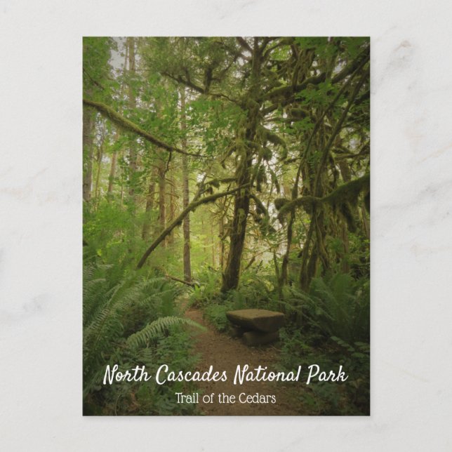 Friedlicher Grünwaldweg Washington Postkarte (Vorderseite)