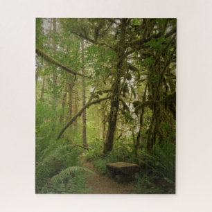Friedlicher Grünwaldweg Washington Puzzle