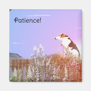 Friedlicher Hund Magnet