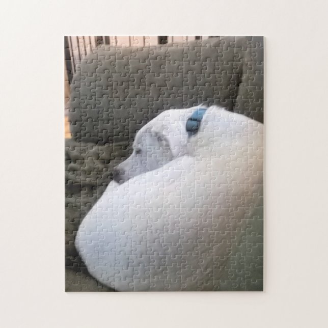 Friedlicher Hundewelpen Schlafen auf Couch Puzzle (Vertikal)