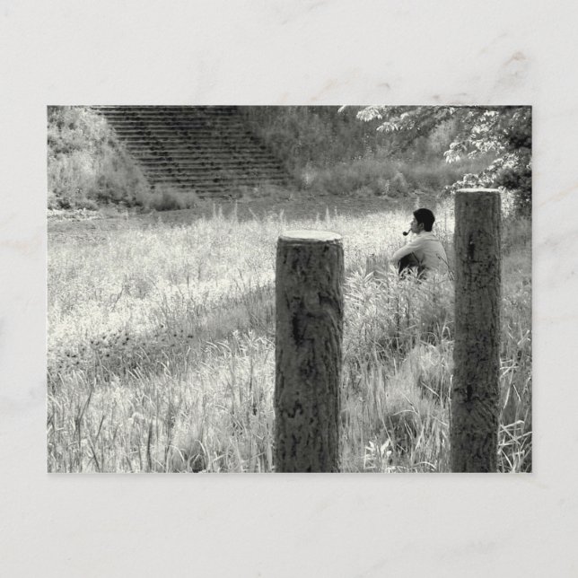 Friedlicher Moment Postkarte (Vorderseite)