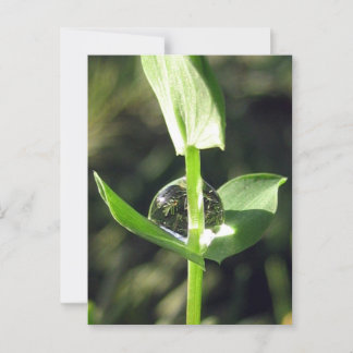 Friedlicher Naher Klettersteig auf Naturmeditation Postkarte