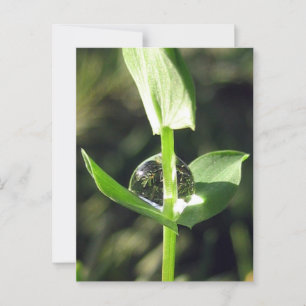 Friedlicher Naher Klettersteig auf Naturmeditation Postkarte