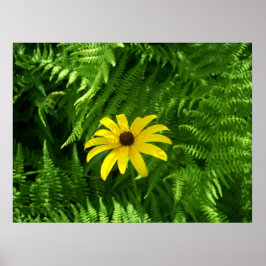 Friedlicher Ort Poster