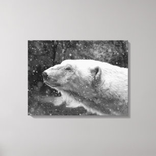 Friedlicher Polar Leinwanddruck