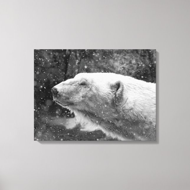 Friedlicher Polar Leinwanddruck (Vorderseite)