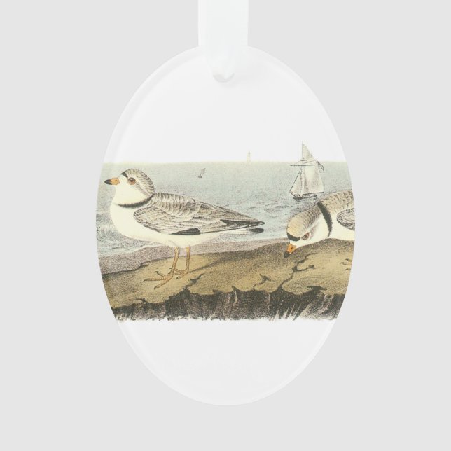 Friedlicher Regenpfeifer durch Audubon Ornament (Vorderseite)