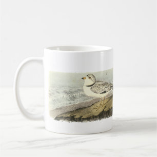 Friedlicher Regenpfeifer, John Audubon Kaffeetasse