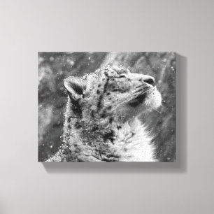 Friedlicher Schnee-Leopard Leinwanddruck
