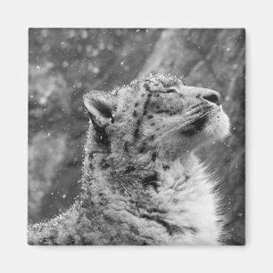 Friedlicher Schnee-Leopard Magnet
