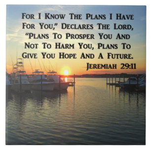 FRIEDLICHER SONNENANSCHLUSS AM SEE FLIESE