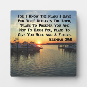 FRIEDLICHER SONNENANSCHLUSS AM SEE FOTOPLATTE