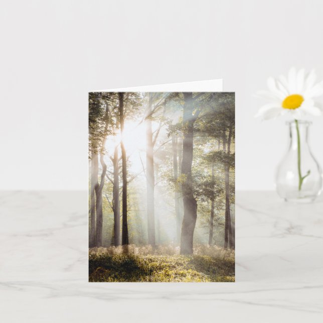 Friedlicher sonnendurchfluteter Wald Karte (Kleine Pflanze)