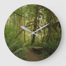 Friedlicher Wald im Nationalpark North Cascades