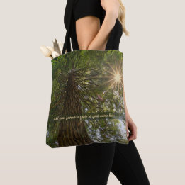 Friedlicher Wald mit goldenem Licht Foto