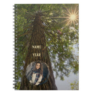 Friedlicher Wald mit goldenem Licht Foto Notizblock