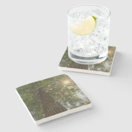 Friedlicher Wald mit goldenem Licht Naturfoto Steinuntersetzer