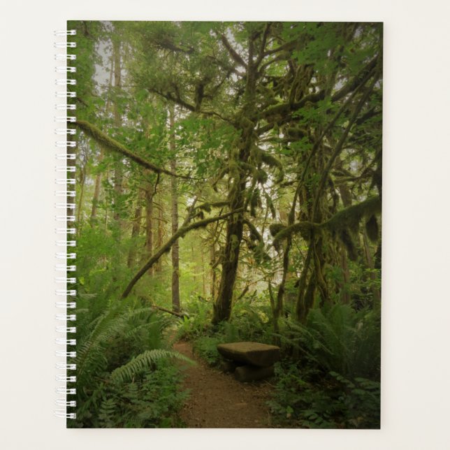 Friedlicher Waldweg in Washington Planer (Vorderseite)