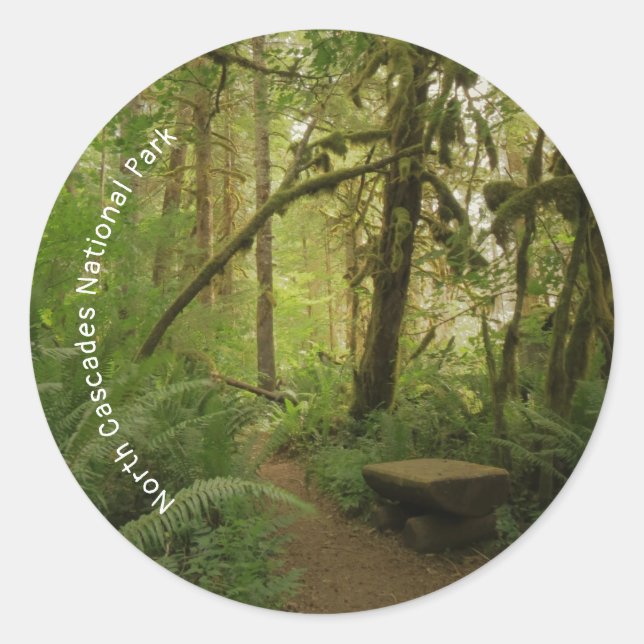Friedlicher Waldweg in Washington Runder Aufkleber (Vorderseite)
