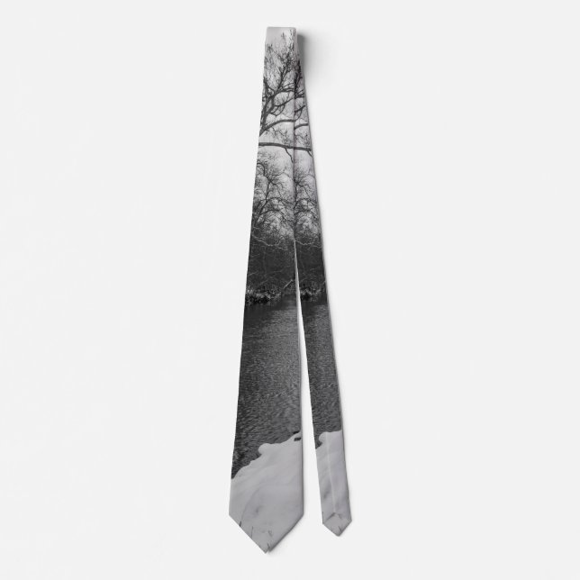Friedlicher Winter bei James River Grayscale Neck  Krawatte (Vorderseite)