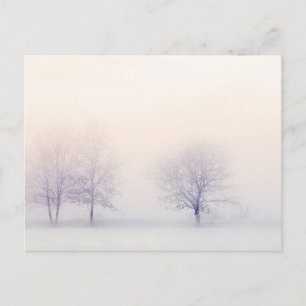 Friedlicher Winter Postkarte