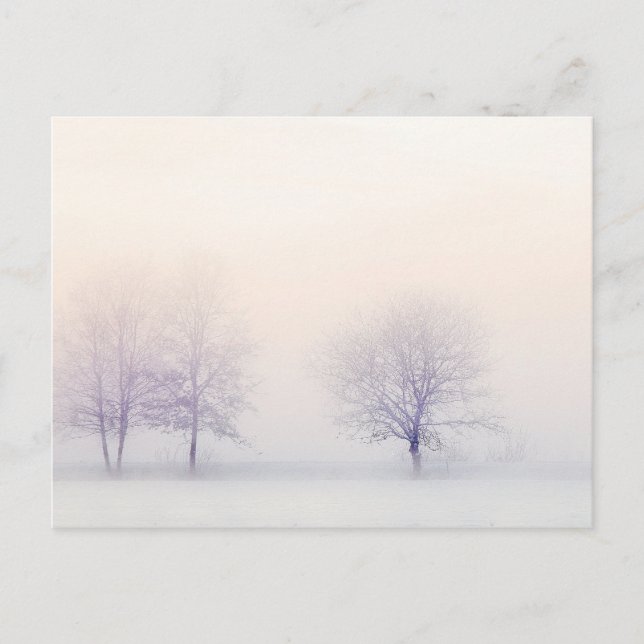 Friedlicher Winter Postkarte (Vorderseite)
