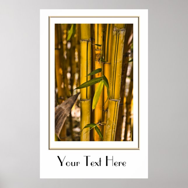 Friedliches Bamboo-Jungle-Poster Poster (Vorne)