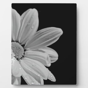 Friedliches Blumen Fotoplatte