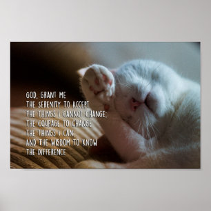 Friedliches Katzenschlafen im Stille Poster