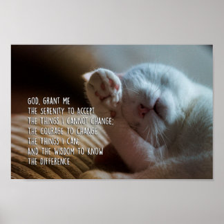 Friedliches Katzenschlafen im Stille Poster
