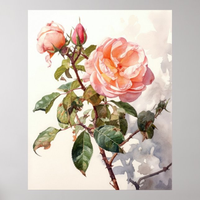 Friedliches Klettern Rose im Wasser Poster (Vorne)