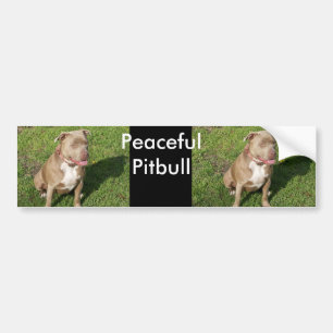 Friedliches Pitbull Autoaufkleber