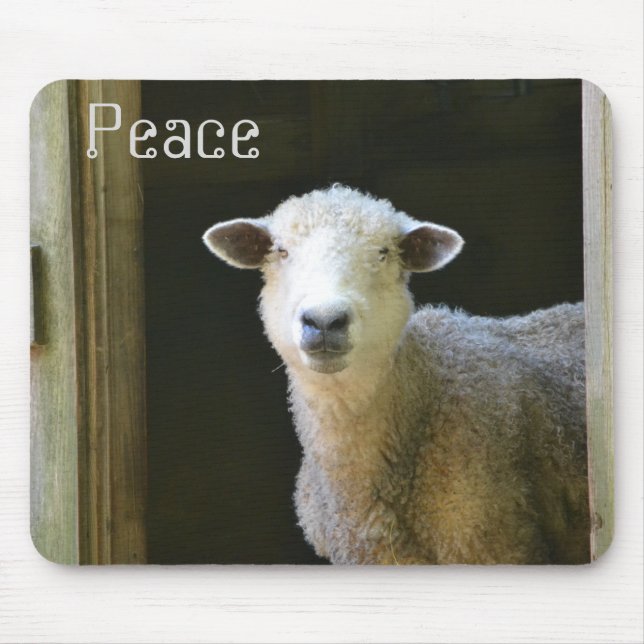 Friedliches Schaf Mousepad (Vorne)