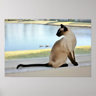 Friedliches siamesisches Katzengemälde Poster