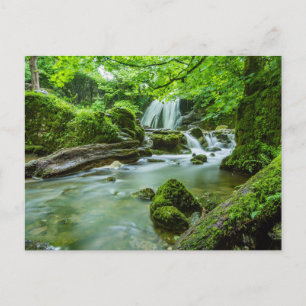 Friedliches Waldrand Wasserfall Foto Postkarte