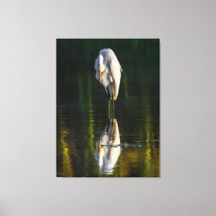 Friedliches Weißes Egret mit Reflektion Leinwanddruck