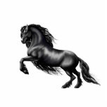 Frieisian Pferd, schwarzer Stallion Fotoskulptur Magnet<br><div class="desc">Bild ist von der Kunst,  vom Entwurf und von der Fotosammlung von Danaru</div>